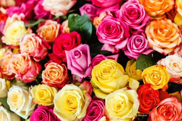 Bouquet of colorful nice roses — Stock Photo, Image