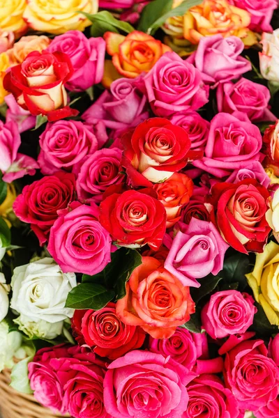 Bouquet of colorful nice roses — Stock Photo, Image