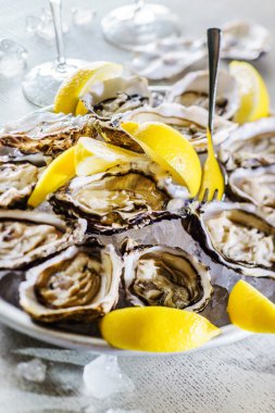 Taze istiridye açıldı