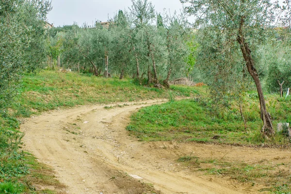Estrada de campo em Itália — Fotografia de Stock