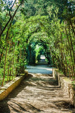 Boboli Bahçeleri. Floransa