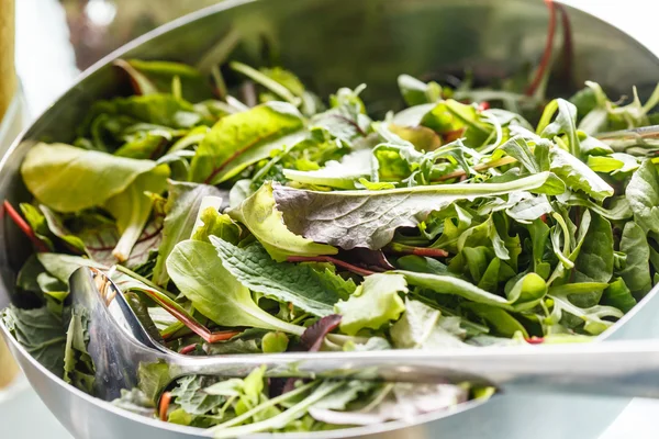 Salada saborosa fresca — Fotografia de Stock