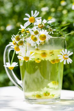 Papatya çayı Kupası