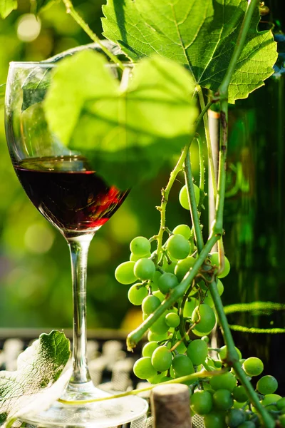 Vinho em copo com uvas — Fotografia de Stock