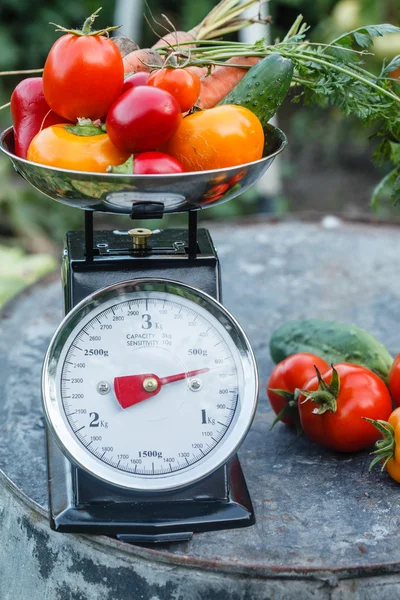 Organic vegetables on scale — Stock Photo, Image