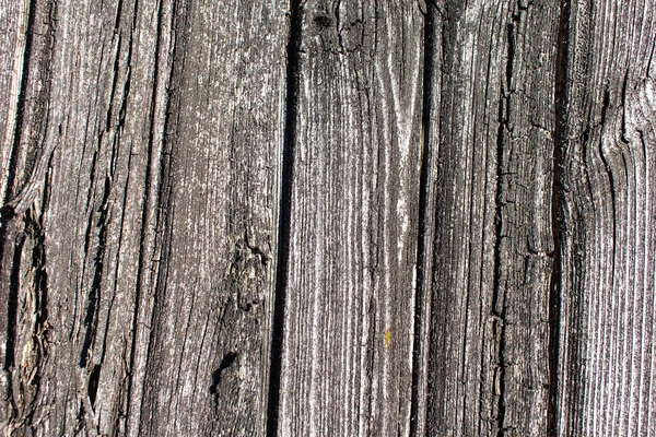 Abstract wood texture — Stock Photo, Image