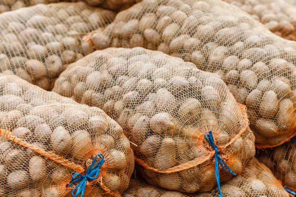 Gathered potatoes in bags — Stock Photo, Image