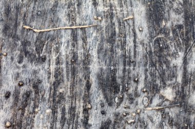 Grunge duvar arka plan