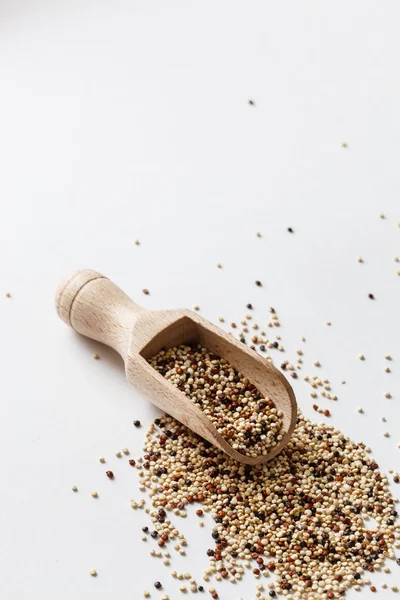 Cereali di quinoa — Foto Stock