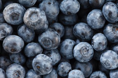 Olgun taze yaban mersini