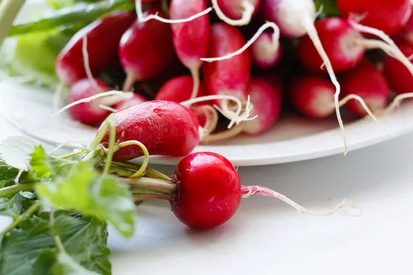 Red fresh radishes — Stock Photo, Image
