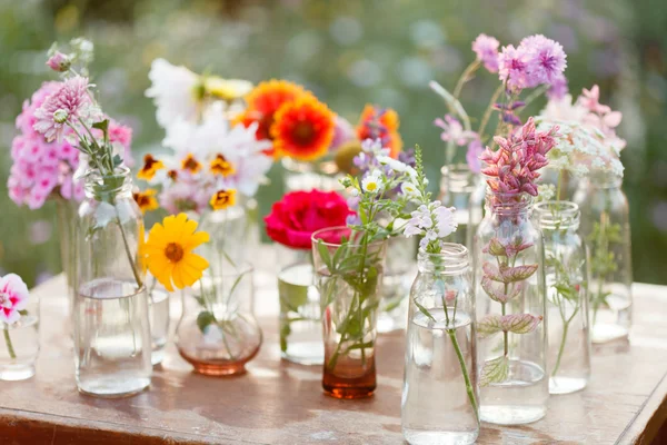 Flores agradáveis em garrafas — Fotografia de Stock