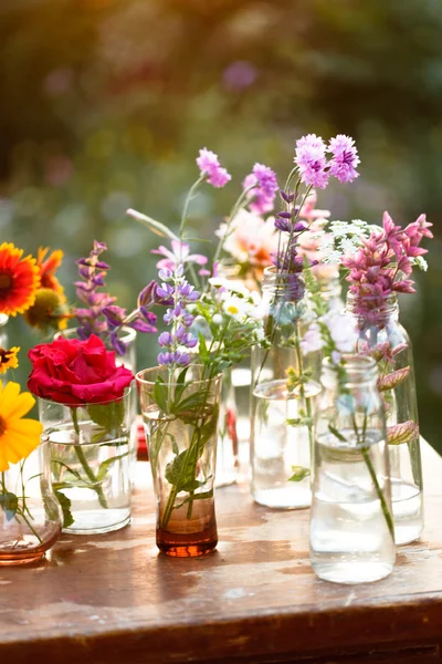 Гарні квіти в пляшках — стокове фото