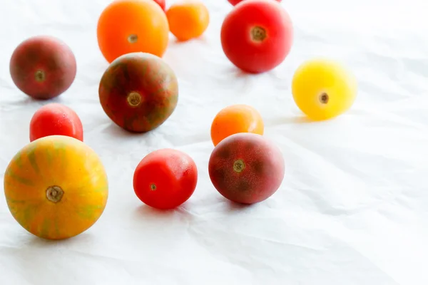 新鲜成熟的多彩番茄 — 图库照片