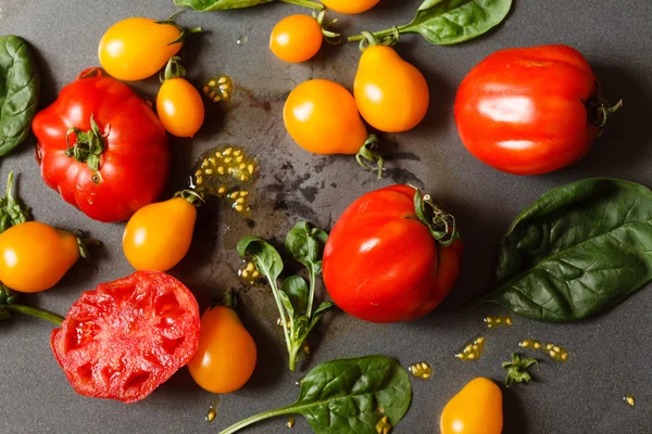 Fresh tomatoes with spinach leaves — Stock Photo, Image