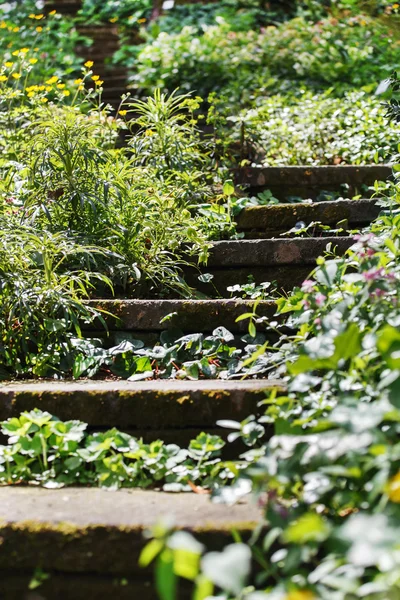 Viejas escaleras de piedra —  Fotos de Stock