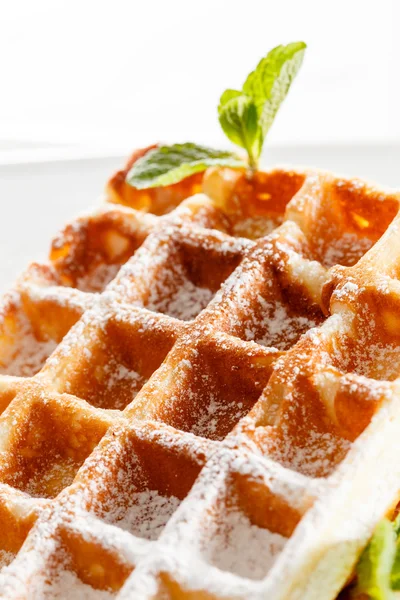 Belgium waffles on plate — Stock Photo, Image