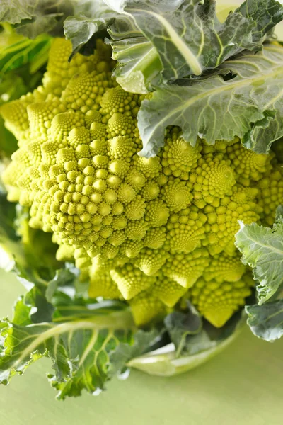 Roman cauliflower background — Stock Photo, Image