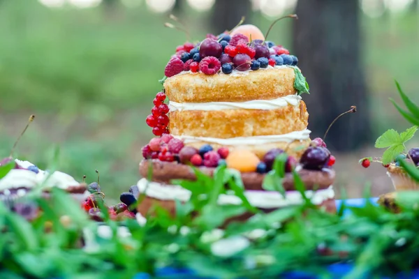裸のウェディング ケーキ — ストック写真