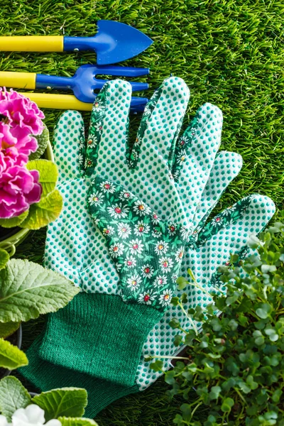 Set of garden tools — Stock Photo, Image