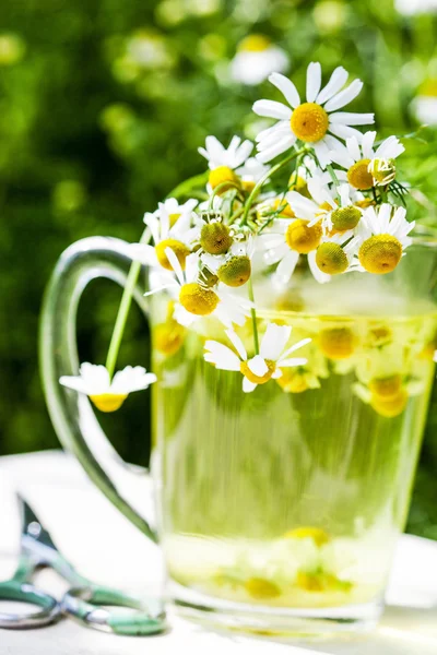 Chá de camomila aromático — Fotografia de Stock