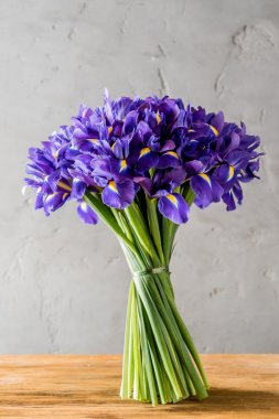 Bahar çiçek çiçeklenme