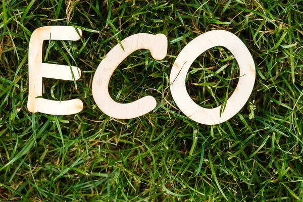 Eco signo en la hierba — Foto de Stock