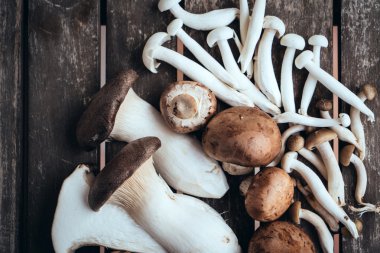 Taze lezzetli mantar 