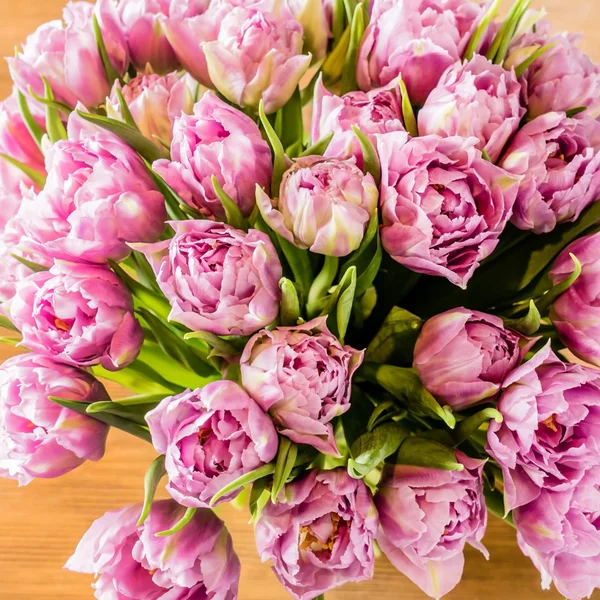 Beautiful pink tulips — Stock Photo, Image