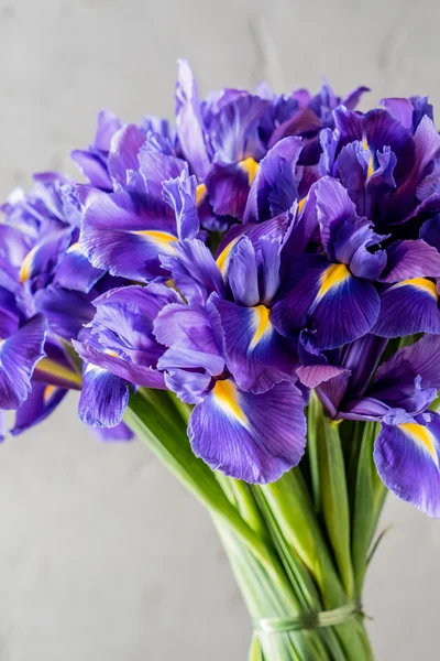 Blühende Frühlingsblumen — Stockfoto