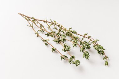 beyaz üzerine taze kekik