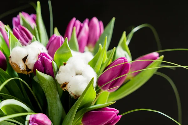 Lentebloemen op zwart — Stockfoto