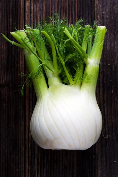 Fresh organic fennel — Stock Photo, Image