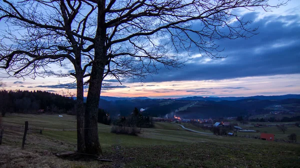 Krásný strom siluetu při západu slunce — Stock fotografie