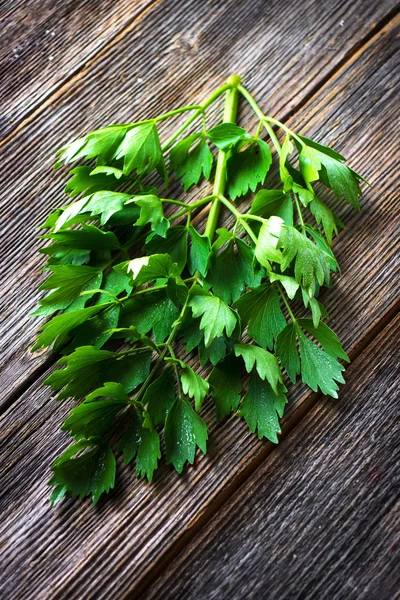 Lovage herb ranting — Stok Foto