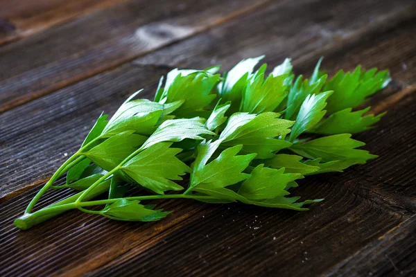 Lovage herb ranting — Stok Foto