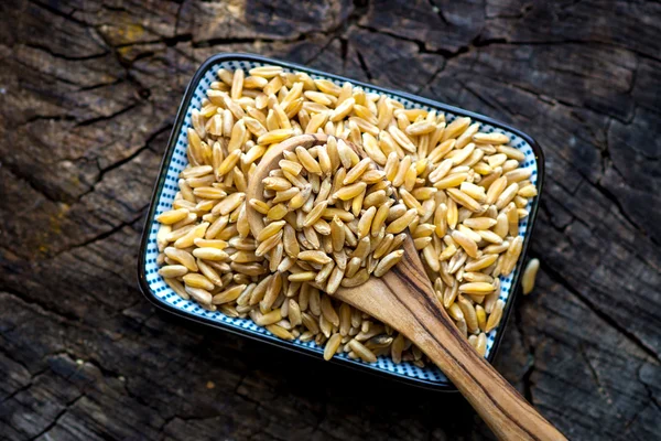 Органічні Kamut зерна — стокове фото
