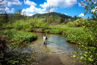 Balıkçı balıkçılık alabalık fly 