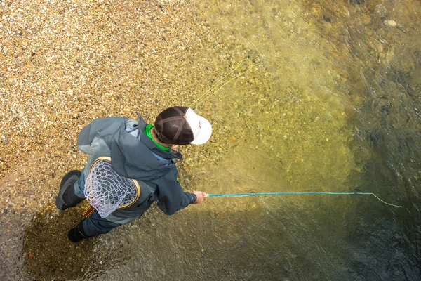 Fly fisherman fishing trouts — Stock Photo, Image