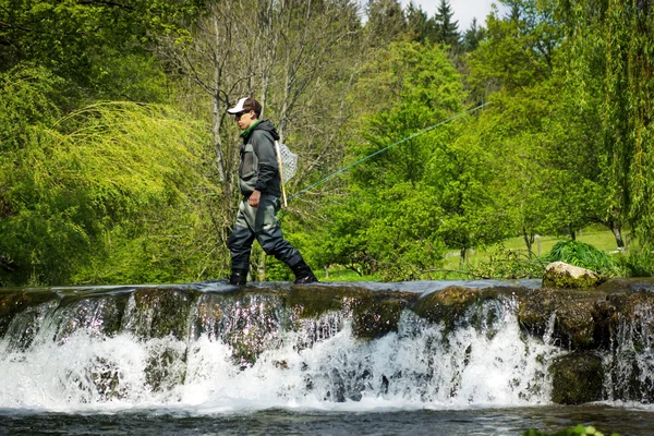 Fly fisherman fishing in  river — Stock Photo, Image