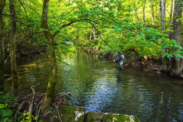 Fly fisherman fishing in  river — Stock Photo, Image