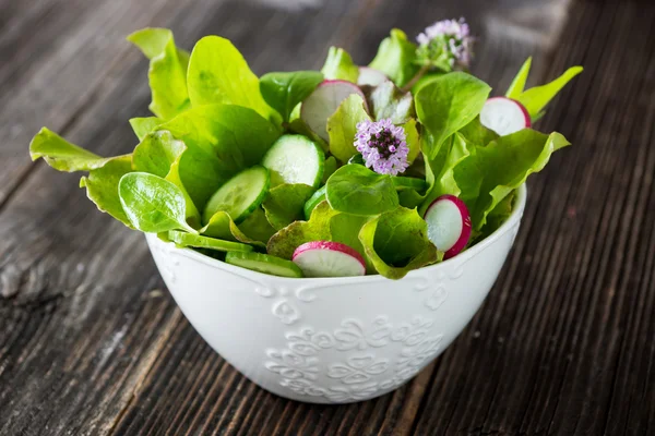 Verse groene salade — Stockfoto