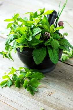 harç taze otlar ile 