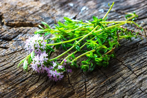 Bunch of fresh savory — Stock Photo, Image