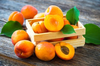 Organik kayısı yaprakları ile 