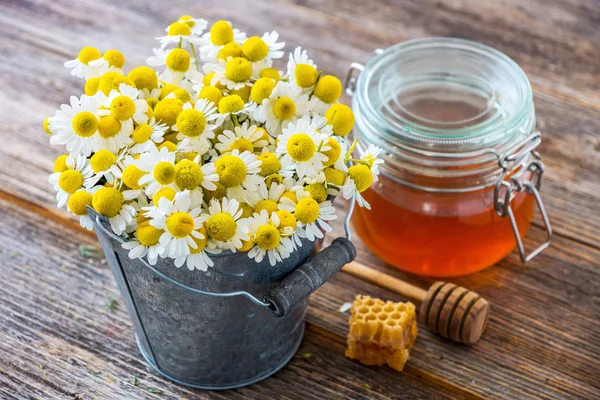 Kamille bloemen en honing — Stockfoto