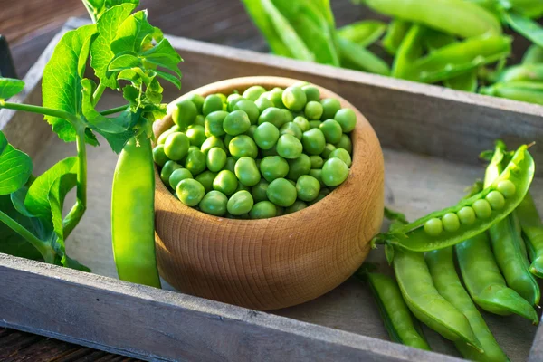 Schüssel mit frischen Erbsen — Stockfoto