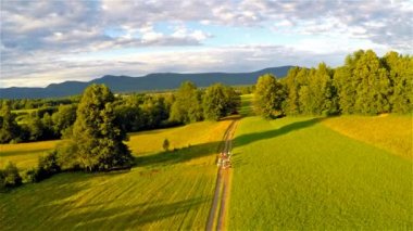 erkeklerle sahada koşu