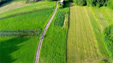 Yeşil alanın güzel manzara