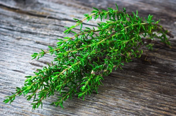 Fresh organic Thyme — Stock Photo, Image